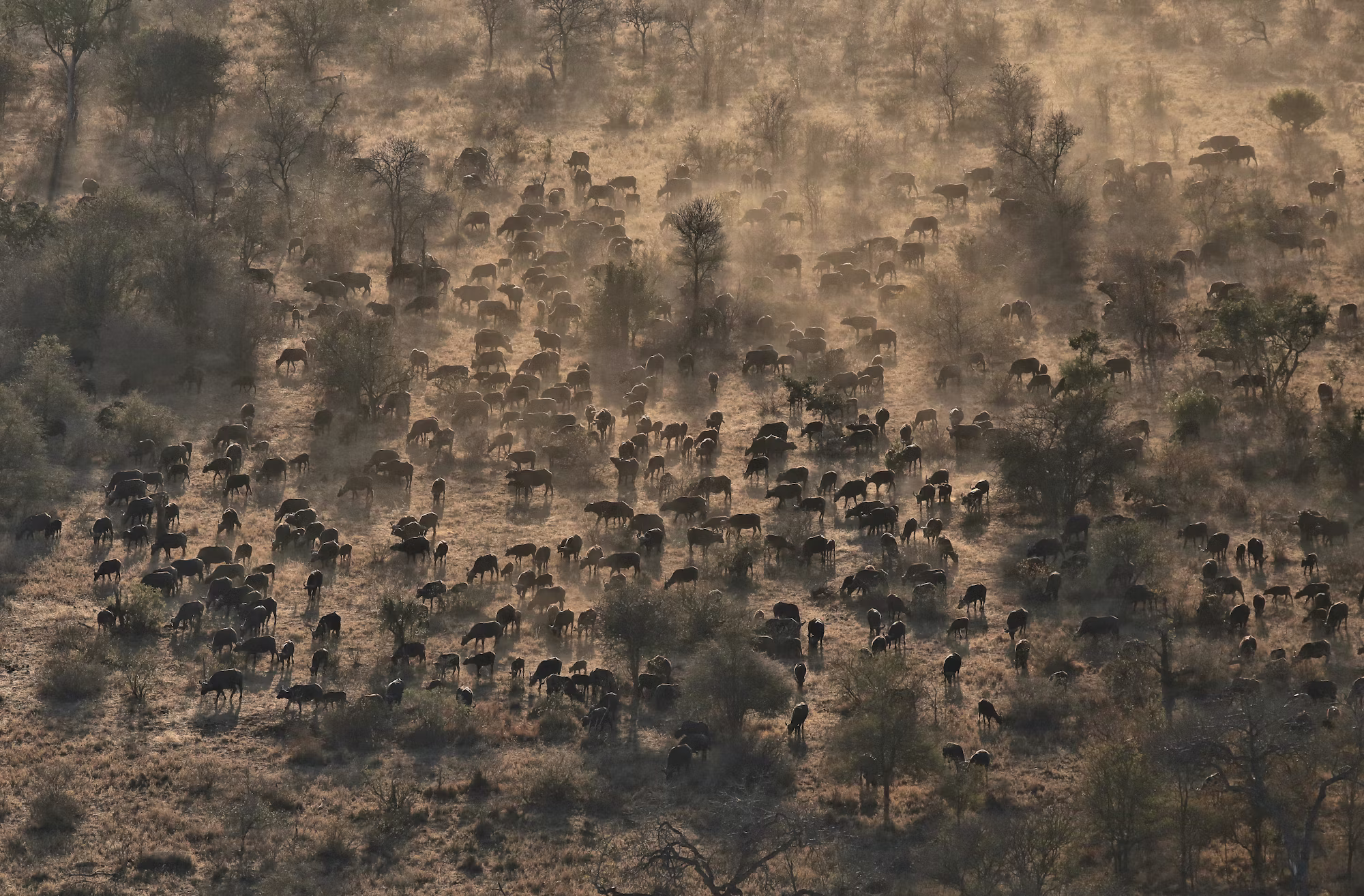 The Evolution of Gaming Consoles: From Pixels to Immersive Experiences